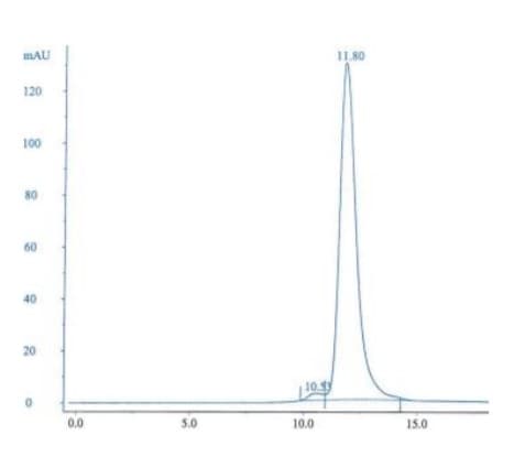 Recombinant Staphylococcus aureus Protein A(AB52953)