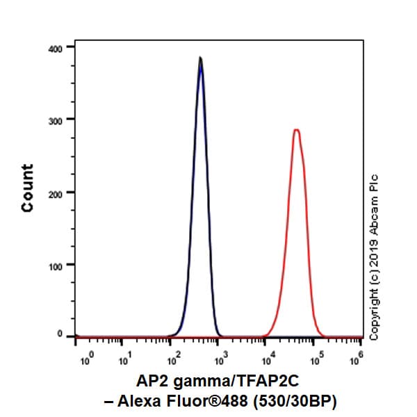 Ap2 Gamma Tfap2c Antibody Ep2692y Bsa And Azide Free Ab247427  Flow Cytometry Intracellular Img51058