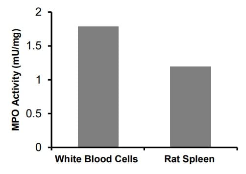 Myeloperoxidase (MPO) Peroxidation Activity Assay Kit (Fluorometric)(AB273334)