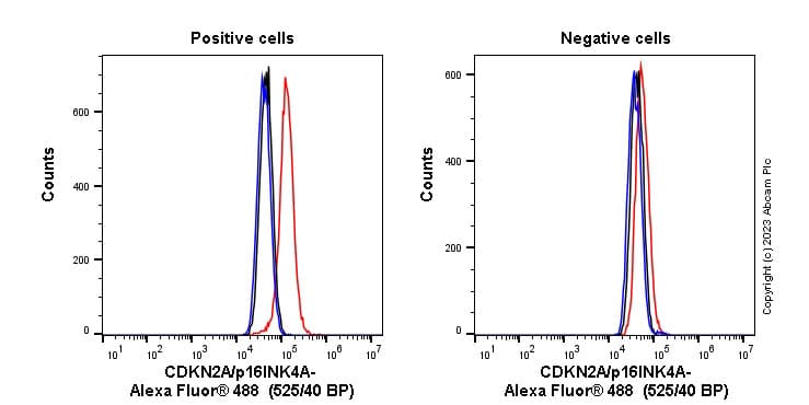 Anti-CDKN2A/p16INK4a antibody [EPR1473] - BSA and Azide free(AB186932)