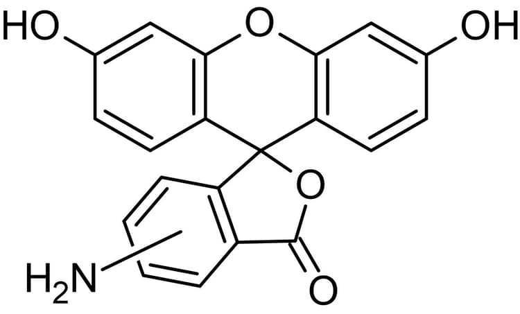 5(6)-Aminofluorescein (mixture of isomers), Fluorescein derivative(AB145343)