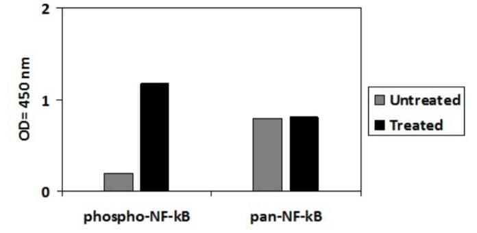 Phospho-NF-kB p65 (S536) ELISA Kit(ab279873)