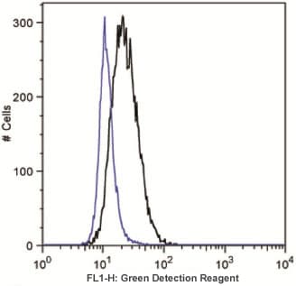 Autophagy Assay Kit(AB139484)