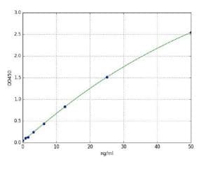 Rat Myeloperoxidase ELISA Kit(AB285308)