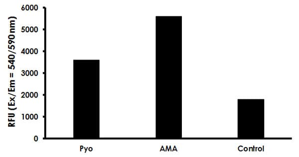 Mitochondrial Superoxide Assay Kit (Fluorometric)(AB219943)