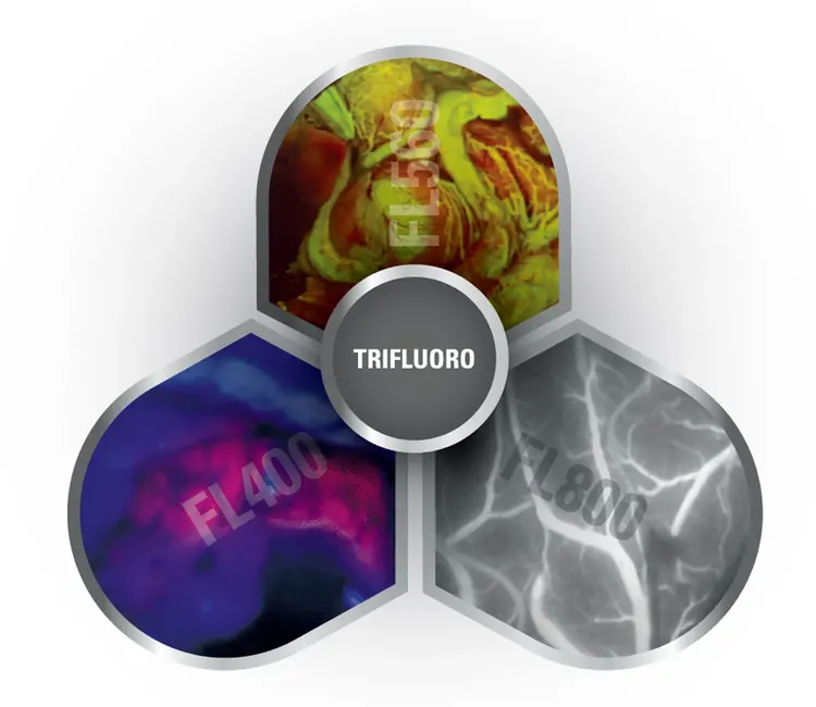 Trifluoro Kid21776477 1