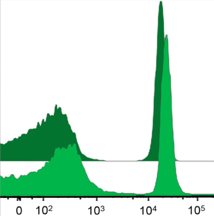 Streptavidin AZDye™ 488 Monovalent Antibody Labeling Kit(AB272187)