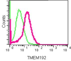 Anti-TMEM192 antibody [EPR14330-67] - BSA and Azide free(AB232600)