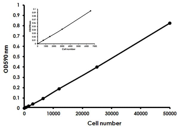 MTT Assay Kit (Cell Proliferation)(AB211091)