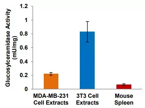 Glucosylceramidase Activity Assay Kit (Fluorometric)(AB273339)