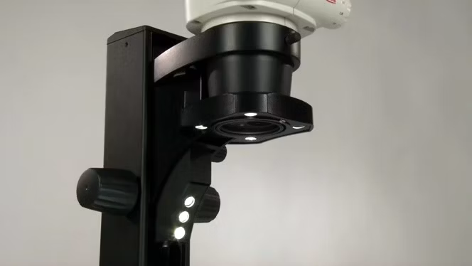 Vlcsnap LED2000 23 Kid21777091 3
