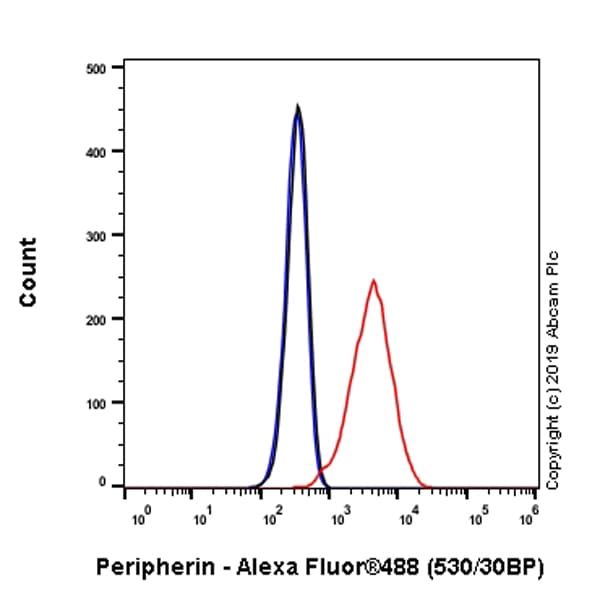 Anti-Peripherin antibody [EPR23445-28] - BSA and Azide free(AB269861)