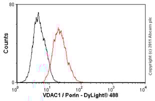Anti-VDAC1/Porin + VDAC3 antibody [20B12AF2](AB14734)
