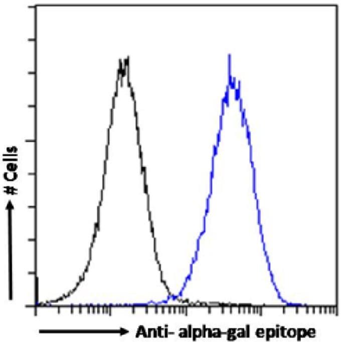 Anti-Alpha Gal antibody [m86] - Human IgM (Chimeric)(AB281899)