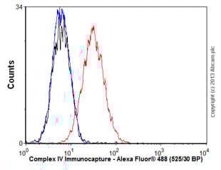 Anti-Complex IV Immunocapture antibody [31E91B82G9](AB109863)