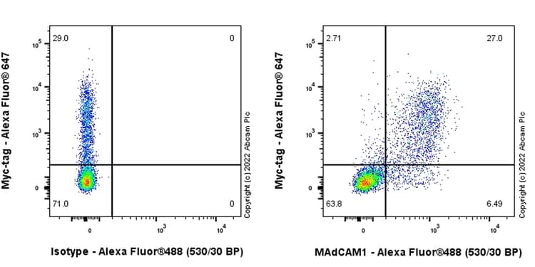Goat Anti-Rabbit IgG H&L (Alexa Fluor® 488) preadsorbed(AB150081)