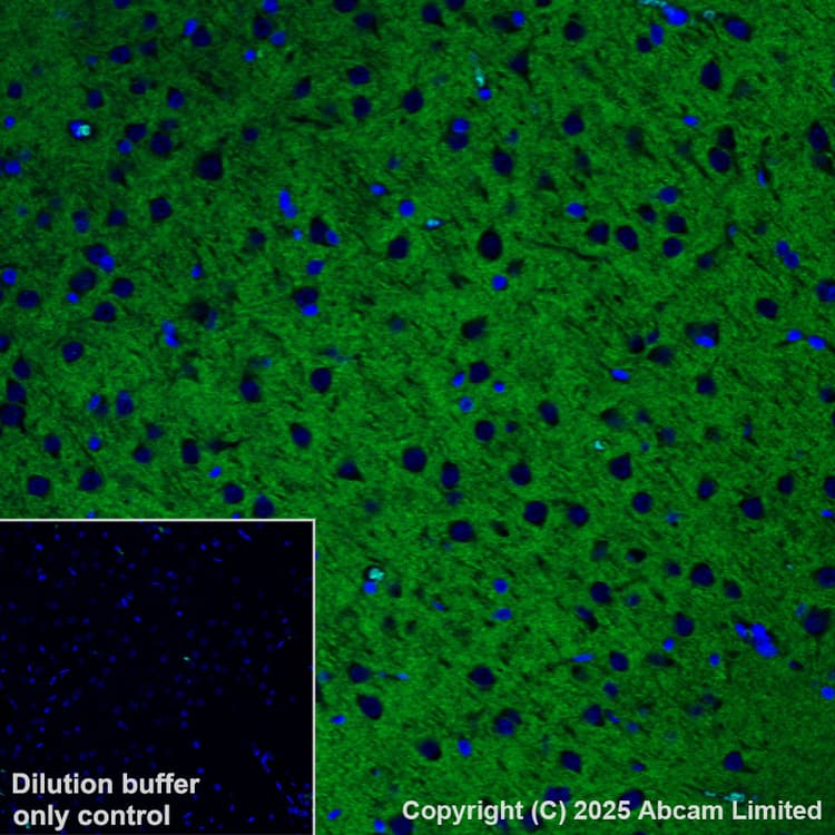Antigen Retrieval Buffer (100X Tris-EDTA Buffer, pH 9.0)(AB93684)