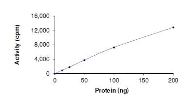 Recombinant human MYLK4 protein(AB190995)