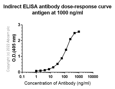 Anti-TNF alpha antibody [RM1005](AB307164)