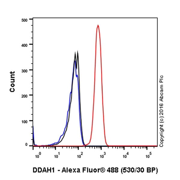 Anti-DDAH1 antibody [EPR13922](AB180599)
