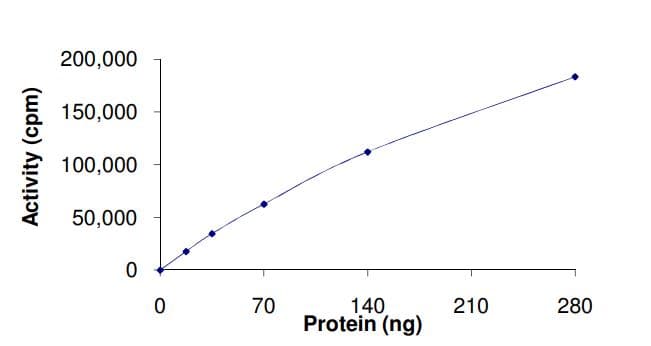 Recombinant human Flt3 / CD135 (mutated D835Y) protein (Active)(AB268580)