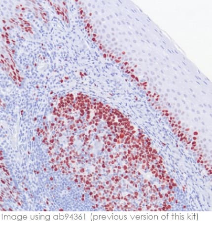 Rabbit specific HRP/AEC IHC Detection Kit - Micro-polymer(AB236468)