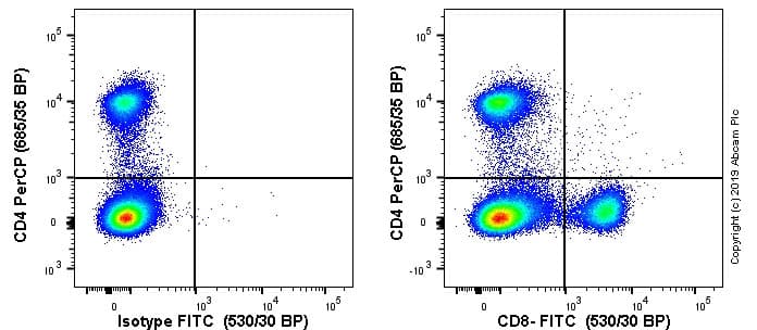 FITC Anti-CD8 alpha antibody [EPR21769](AB237367)