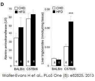 Alanine Transaminase Activity Assay Kit (Colorimetric/Fluorometric)(AB105134)
