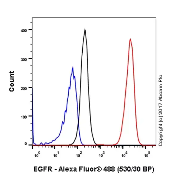 Anti-CCR7 antibody [4B12](ab52602)