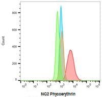 PE Anti-NG2 antibody [7.1](AB228441)