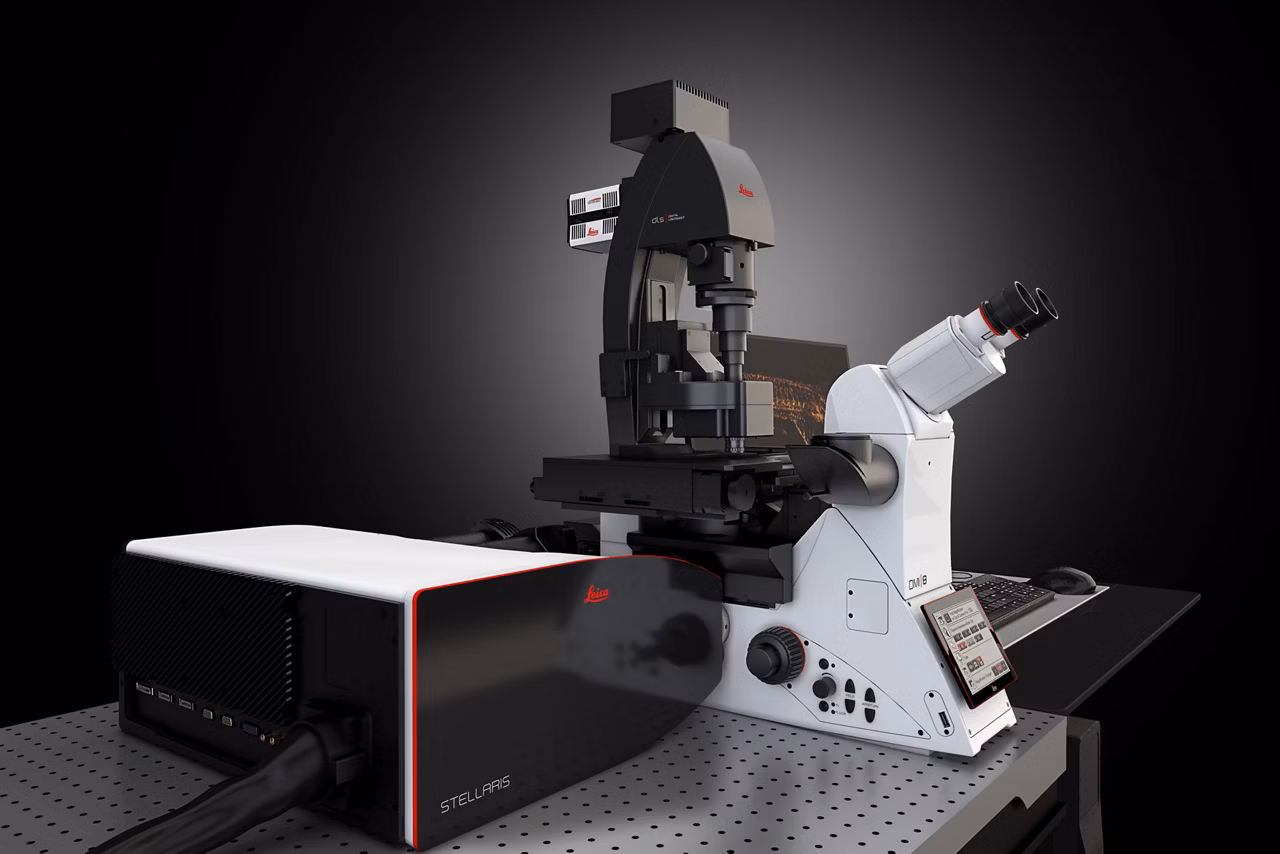 Stellaris DLS Confocal List Kid21775030