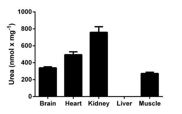 Urea Assay Kit(AB83362)