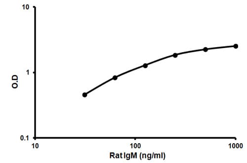 Rat IgM ELISA Kit(AB157738)