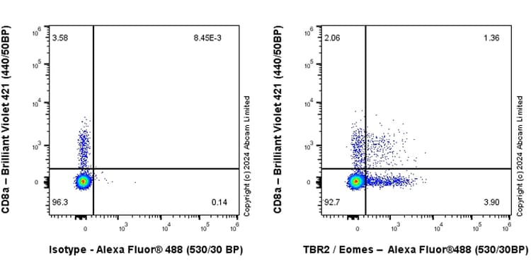 Anti-TBR2 / Eomes antibody [RM2055](AB319166)