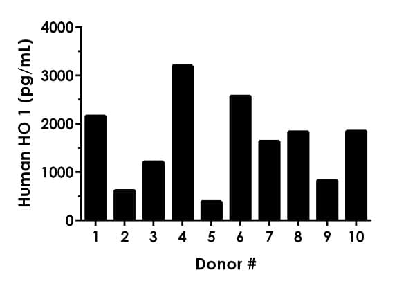 Human Heme Oxygenase 1 ELISA Kit, Fluorescent(AB229429)