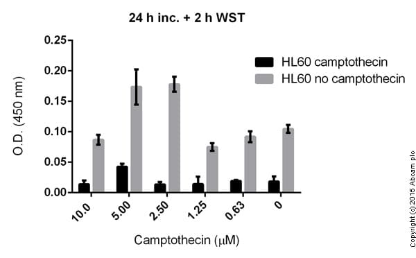 WST-8 Assay Kit (Cell Proliferation)(AB65475)