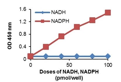 NADP/NADPH Assay Kit(AB65349)