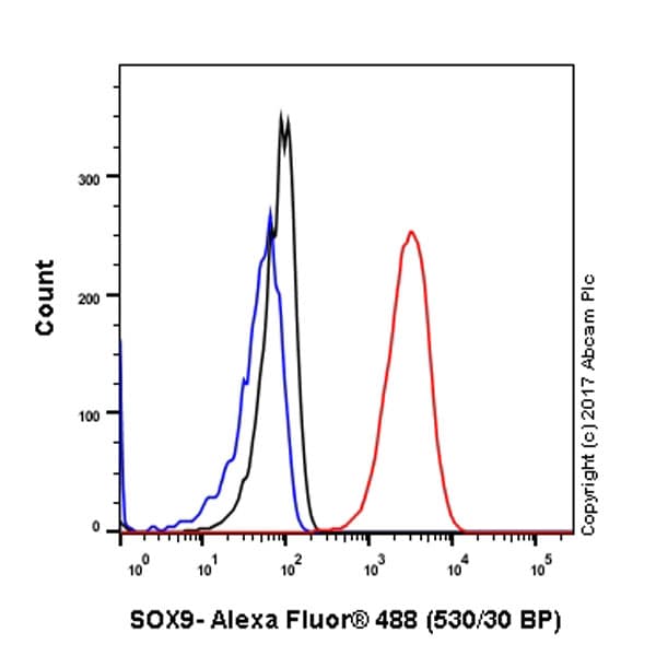 Anti-SOX9 antibody [EPR12755](AB182579)