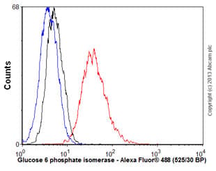 Amf Antibody 1b7d7 Ab66340  Flow Cytometry Img33419