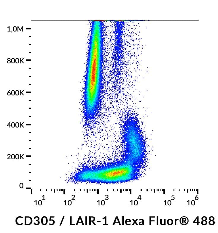 Alexa Fluor® 488 Anti-LAIR1 antibody [NKTA255](AB243082)