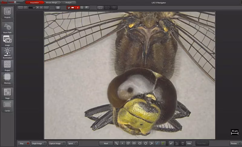 Las X Allows You To Set Up Experiments