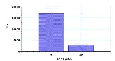 NIR Mitochondrial Membrane Potential Assay Kit (Microplate)(AB112150)