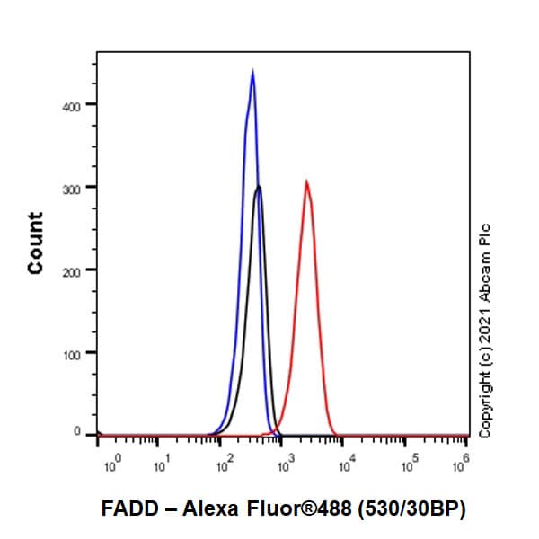 Anti-FADD antibody [EPR5030] - BSA and Azide free(AB229444)
