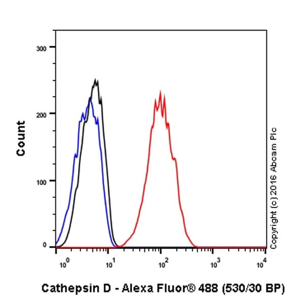 Anti-Cathepsin D antibody [EPR3057Y](ab75852)
