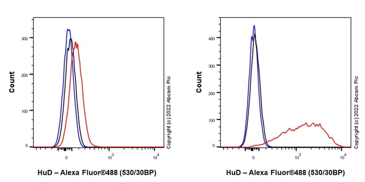 Anti-HuD antibody [EPR26472-54] (BSA and Azide free)(AB302515)