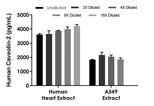 Human Caveolin-2 ELISA Kit (CAV2)(AB270881)