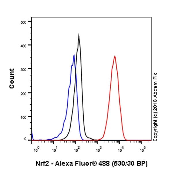 Anti-Nrf2 antibody [EP1808Y](AB62352)