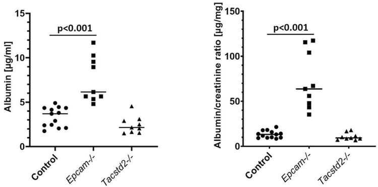 Mouse Albumin ELISA Kit(AB108792)