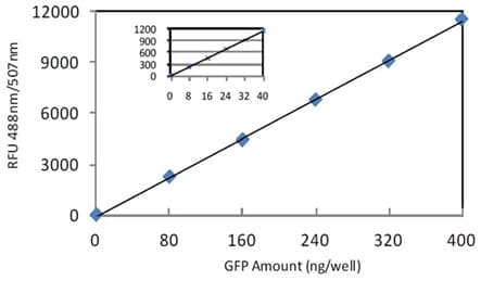 GFP Quantification Kit(AB235672)