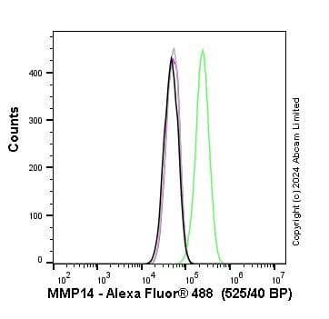 Anti-MMP14 antibody [EP1264Y](AB51074)